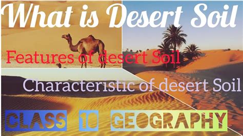 What is desert Soil // Class 10 geography // #desertsoil #growupedu # ...