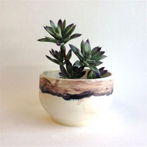 W A T E R C O L O R : ceramic bowl planter | Ceramic bowls, Planters ...