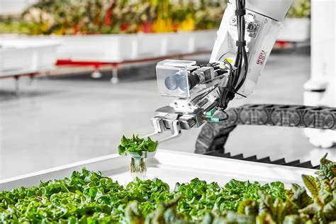 First Robotic Farm in U.S. Opens in the Bay Area — AGRITECTURE