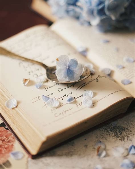 Books And Flowers Wallpapers - Wallpaper Cave