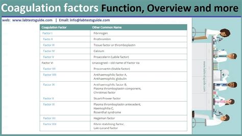 Blood Clotting factors | Lab Tests Guide