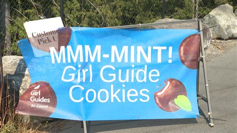 Girl Guides in Victoria to deliver mint chocolate cookies for first time in two years