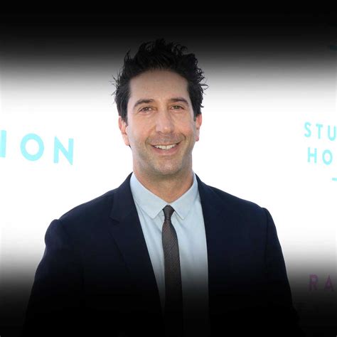 David Schwimmer Movies