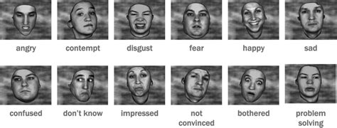 Facial expressions explained | Body language signs, Body language ...