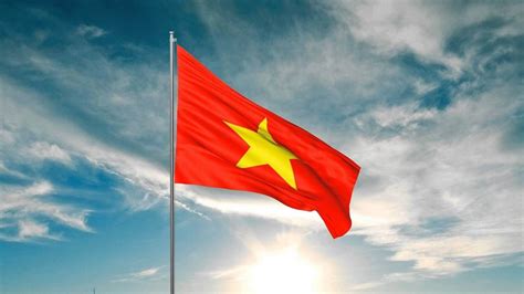 Vietnam Flag: Explore the national symbol of pride and unity