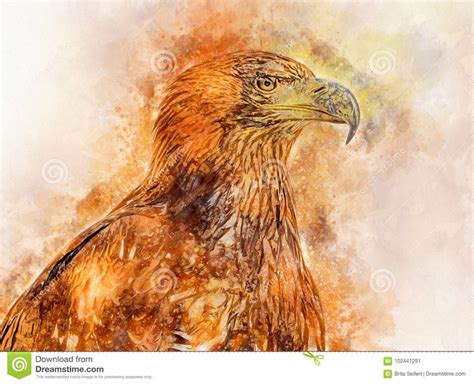 Watercolor Painting of the Golden Eagle Port Stock Illustration - Illustration of watercolor ...