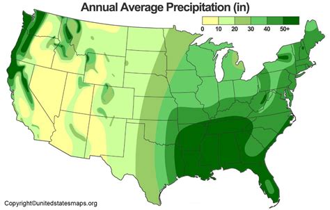 June Rainfall 2024 - Lolly Rachele