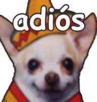 adios_card_chihuahua - Discord Emoji