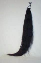 Horse Tail Extension