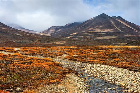 Tundra Biome