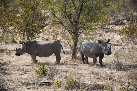 Mosi-Oa-Tunya National Park - Zambia | PANGEA Travel