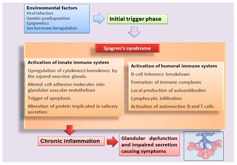 IJMS | Free Full-Text | Molecular Mechanisms Linking Inflammation to ...