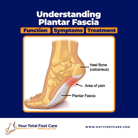 Understanding Plantar Fascia | Symptoms, Causes, and Treatment