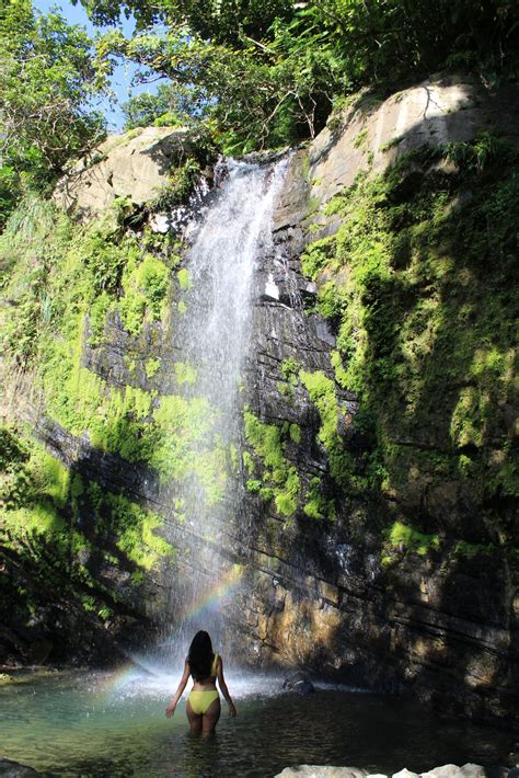 How Do I Find Juan Diego Falls? - A Complete Guide to El Yunque's ...