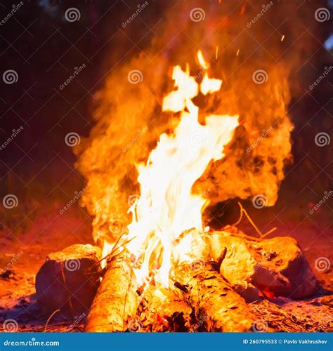 Explosion, Shell Fire in Forest Stock Image - Image of wood, firewood: 260795533