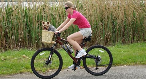 Faire du vélo, c’est bon pour la santé | Guide et conseils sur les vélos