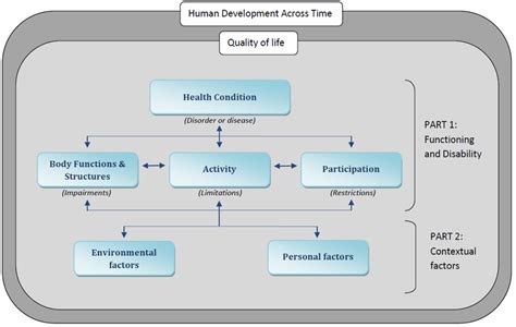 Interaction of the concepts in the ICF structure and their relationship... | Download Scientific ...