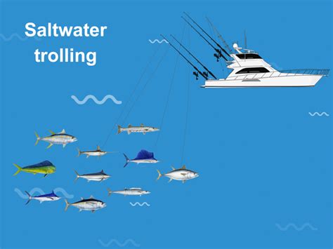 Trolling: The Ultimate Fishing Technique (Updated 2022)