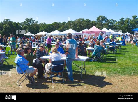 Harwich Cranberry Festival 2024 - Perri Brandise