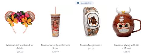 New Disney Merch: Moana, Disney Parks, Ornaments & More