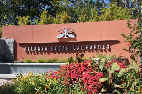 Visiting the Atlanta Botanical Garden - This Is My South