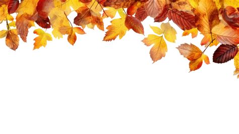 Autumn leaves border isolated. Illustration 24689760 PNG