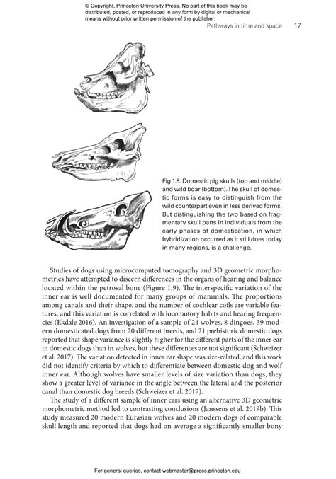 The Process of Animal Domestication | Princeton University Press