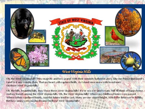 West Virginia State Symbols | West virginia, Virginia hill, Virginia