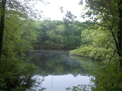 Walden Pond... Walden Pond, Over The Rainbow, The Locals, River ...