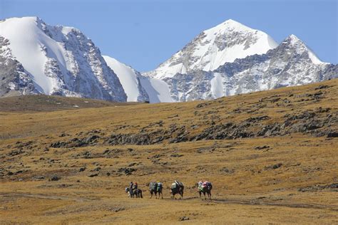 Mongolia - The Altai and the Gobi — The Trek Blog