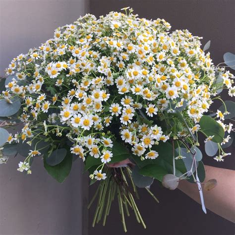 Chamomile Bouquet Huntington Beach Florist - Flower Delivery