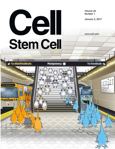 Issue: Cell Stem Cell