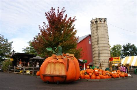 Bengtson's 10a-8p Pumpkin Farm, Pumpkin Carving, Homer Glen, Children's Place, Places To Go ...