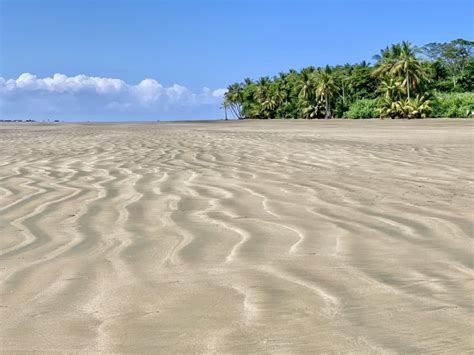 Visiting Uvita Beach of Costa Rica | Whales Tail Playa Uvita | TripTins