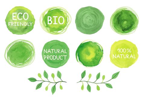 What are some of the best examples of eco-friendly products?