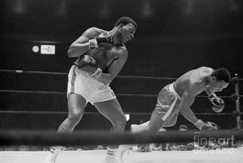 Joe Frazier Boxing Against Buster Mathis Photograph by Bettmann | Pixels