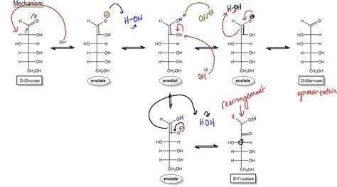 Monosaccharides - Aldose-Ketose Rearrangement - Organic Chemistry Video | Clutch Prep