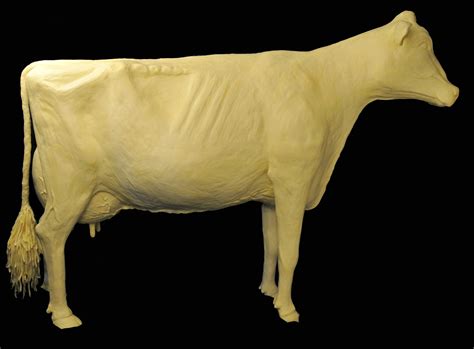 Sculptor Talks About Butter Cow At The Iowa State Fair | Radio 570 WNAX