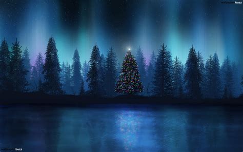 50 Beautiful Christmas tree Wallpapers