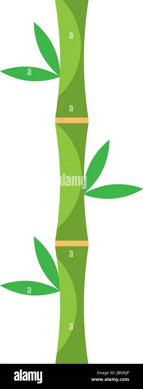 bamboo stem natural icon Stock Vector Image & Art - Alamy