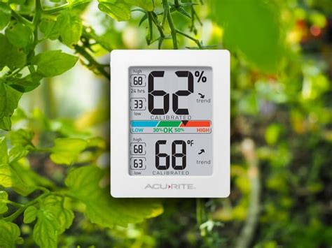 The best greenhouse thermometer and hygrometer – Greenhouse Hunt