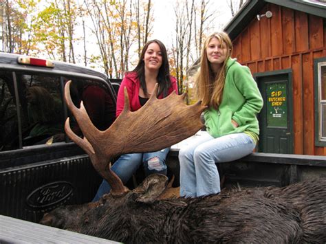 Maine Moose Hunt Fully guided Jackman Maine Moose Permit Hunting Zone 8 ...