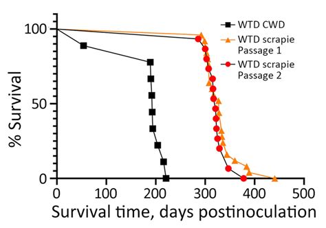 Figure 3 - Scrapie versus Chronic Wasting Disease in White-Tailed Deer - Volume 30, Number 8 ...