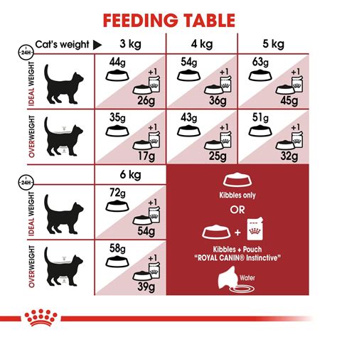 Cat Food | Optimal nutrition for felines – HappyPets