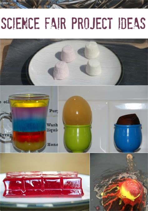 Great Science Fair Project Ideas