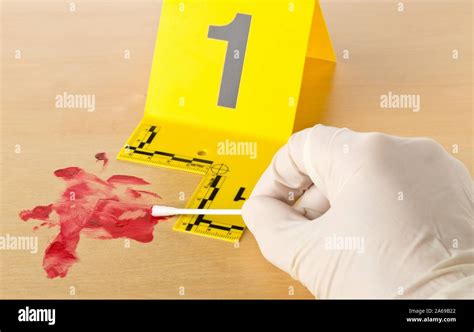 Forensic investigator collecting blood sample at crime scene ...