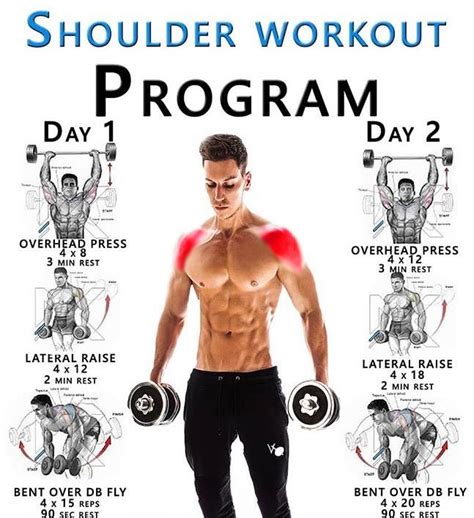 🚨 SHOULDER WORKOUT PROGRAM GUIDE Your Shoulder Muscles Ok, so we can’t start to build up the ...