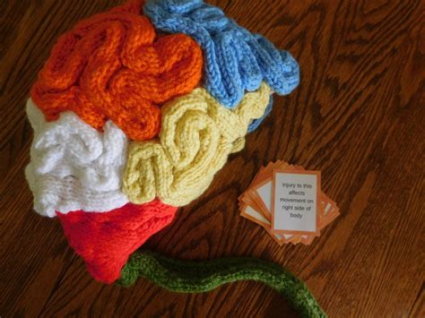 Free Knitting Pattern for Brain Hat | Knitting Things