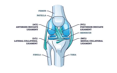 ACL And PCL Surgery in Mumbai | Dr. Divyesh Bukalsaria