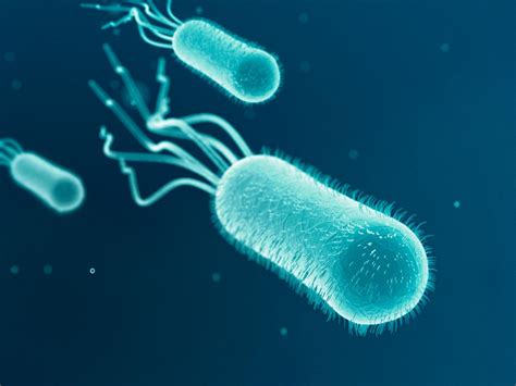 Extended-spectrum beta-lactamases (ESBL): Infection and treatment